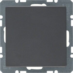 Blank plate with centre plate  black, velvet - Görsel 1