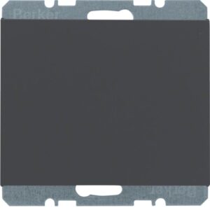 K.1_Blank plate with centre plate - Görsel 1