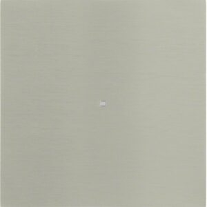 B.IQ Anahtar Çelik 1 Gang - Görsel 1