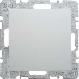 Blank plate with centre plate  polar white, matt - Görsel 1